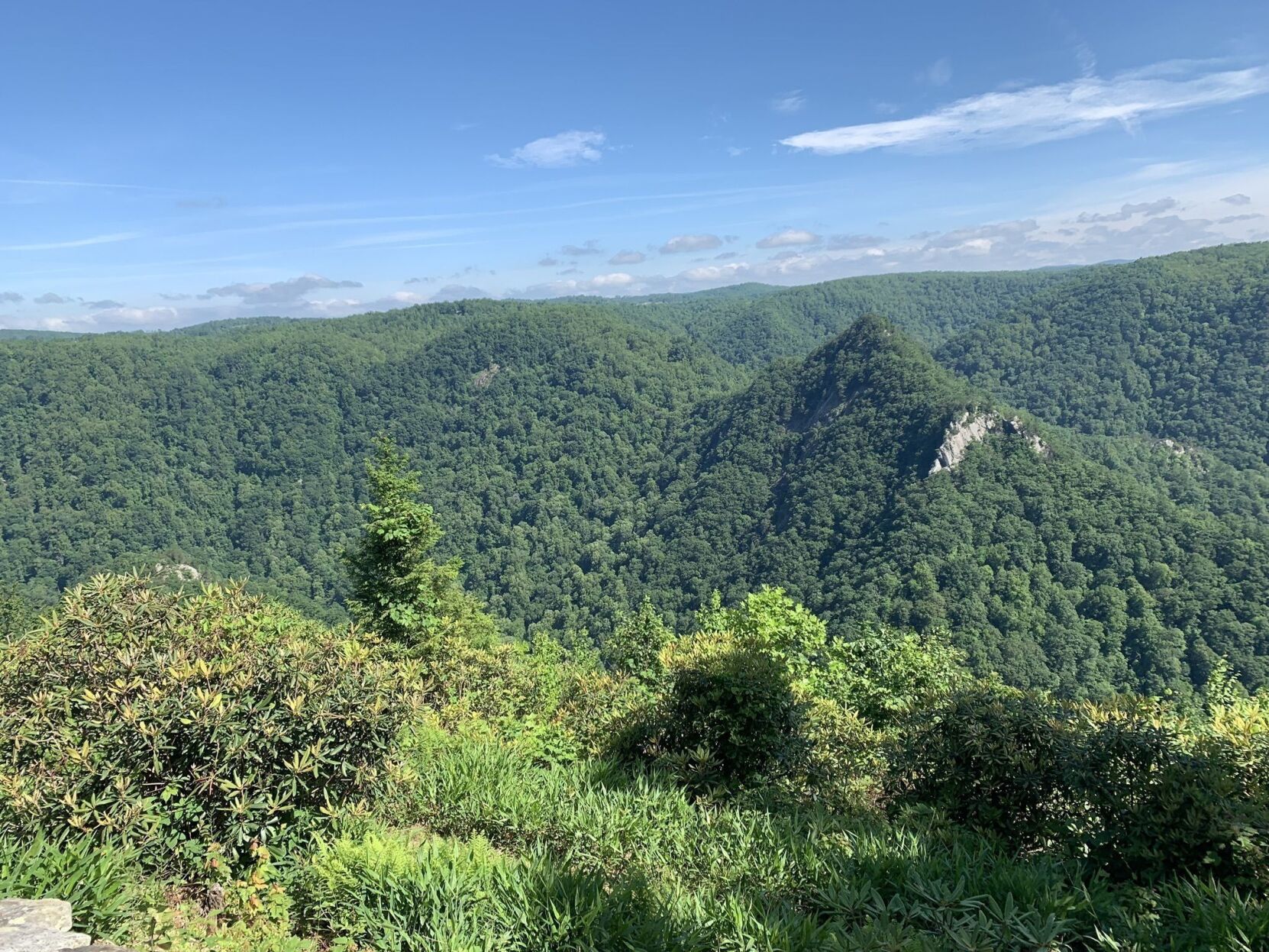 buzzards roost trail view